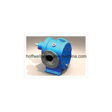 YCB-G Heat Insulating Gear Pump (YCB1.6-0.6G)